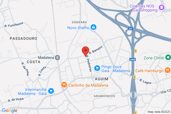 Maria C Teixeira Guilherme