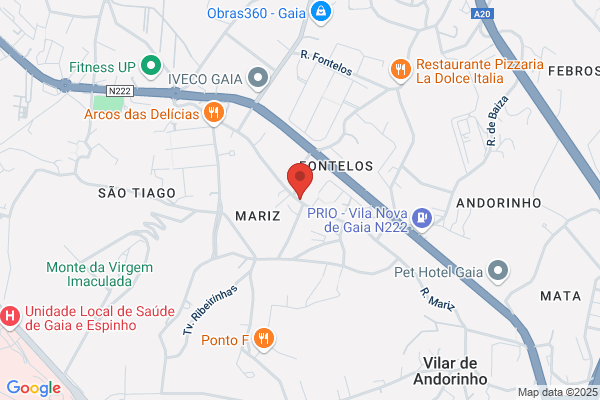 Maria M V Cepeda Pinto