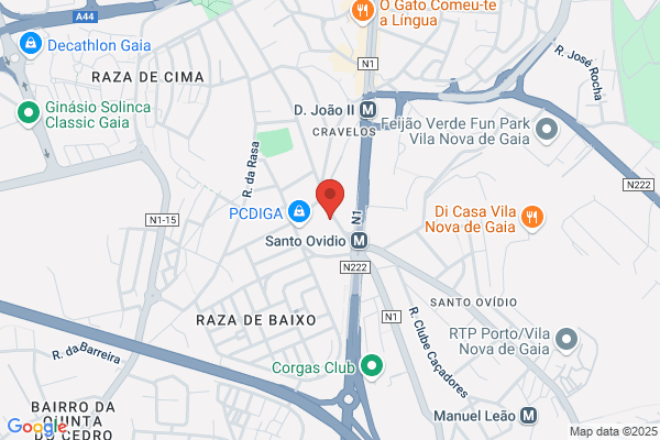 Electro Rosinhas-De Selvia Guedes Costa