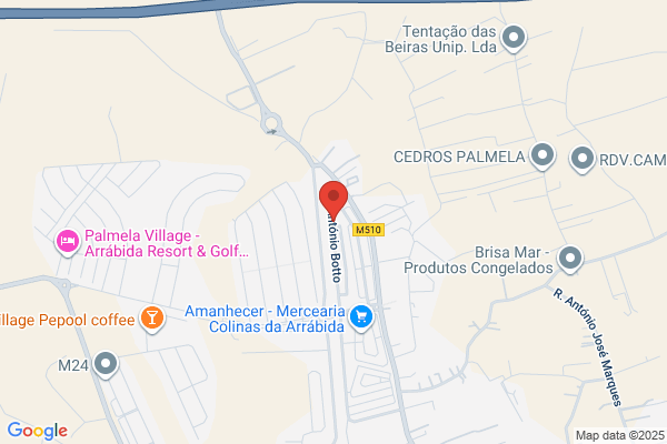 Pedro M A R Ferreira Santos