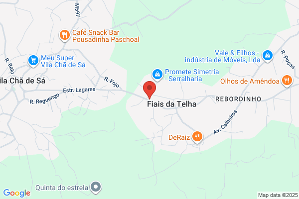 Fecam-Consultadoria E Gestão Lda