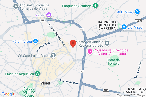 Escola Secundária Emídio Navarro De Viseu