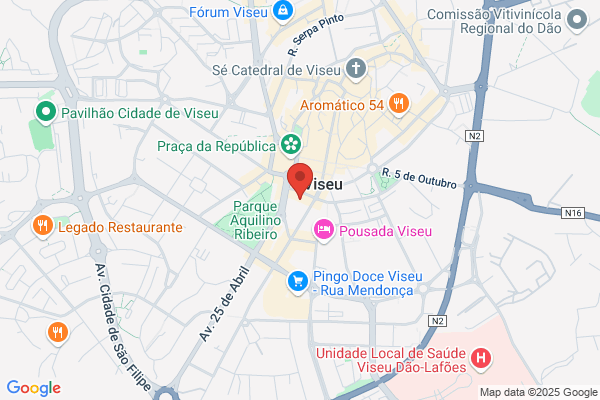 Hotel Grão Vasco Sa