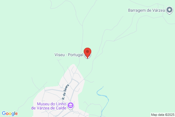Viseu Informaiao