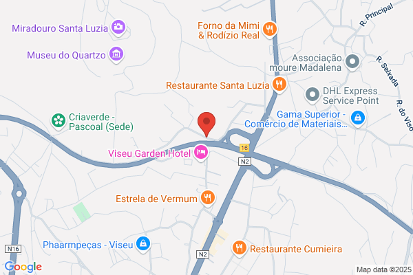 Carlos M C Almeida Henriques
