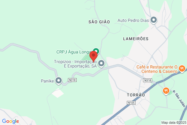 A Silva Ferreira
