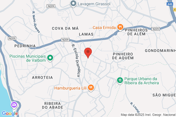 Carlos Gonialves Rocha Ribeiro