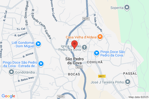 Carlos M Teixeira Ribeiro