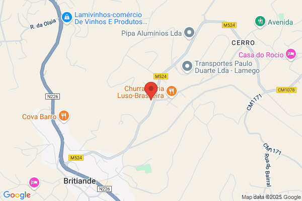 Camelo-Sociedade Agrícola Lda