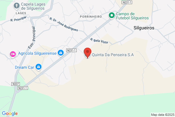 Pensàameixa