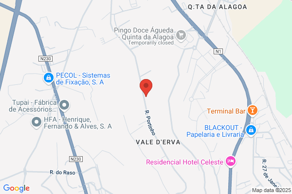 Adelino Folha Cerqueira