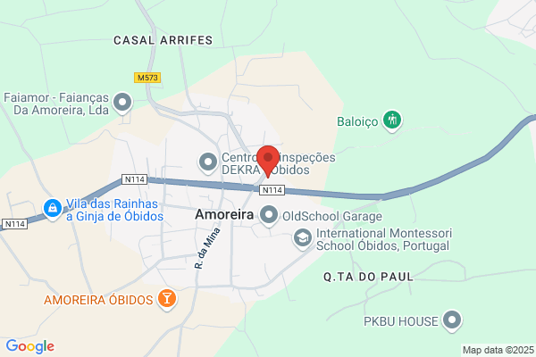 Anto R Fernandes Zorro