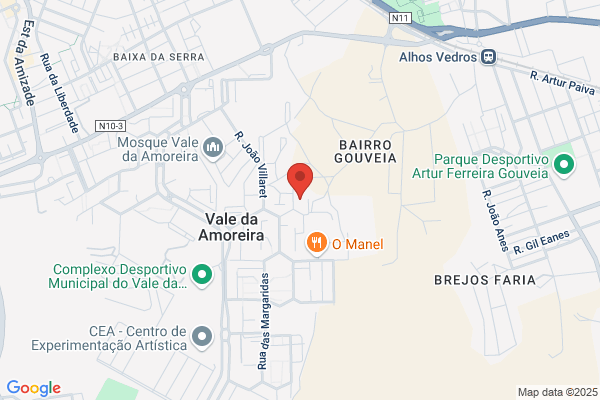 Paula M Moreira Neto