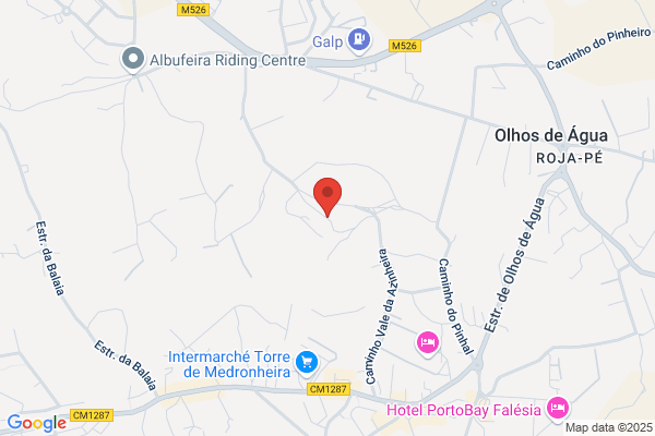 Jose Antanio Soares Da Mina