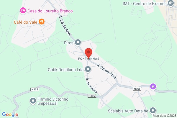 Maria L G F Arruda Teixeira