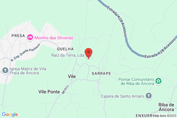 Raiz Do Campo-Plantas E Flores Unipessoal. Lda