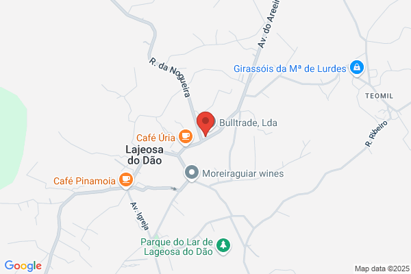 Leonia C Turigo Lemos