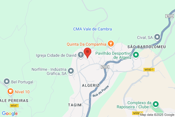 Carlos Alberto Carvalho Gonialves Pereira