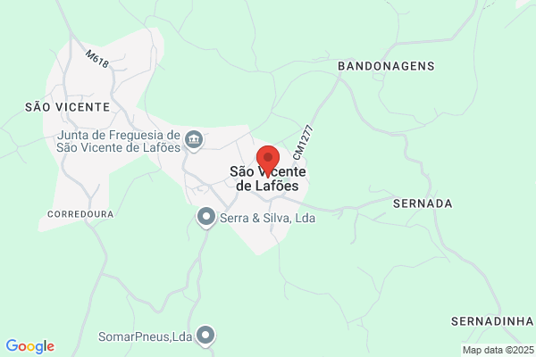 Carlos M Coutinho Santos