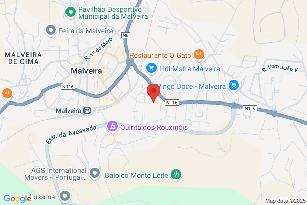 Maria A Pereira Malheiro
