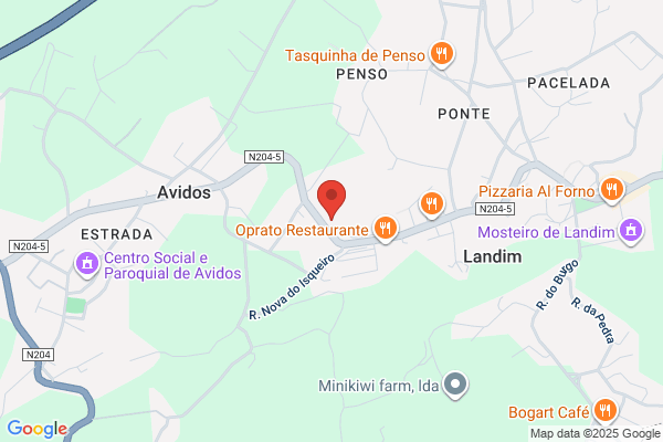 Fernando M M Ribeiro Azevedo