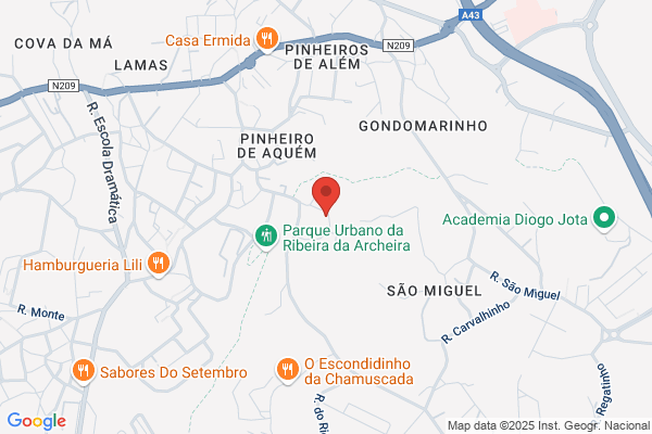 Helder E V Silva Antunes