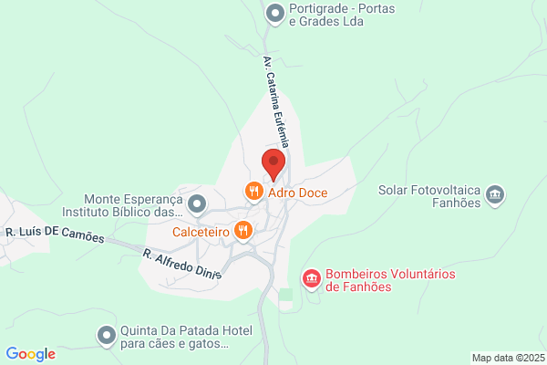 Litografia De Portugal. Sa