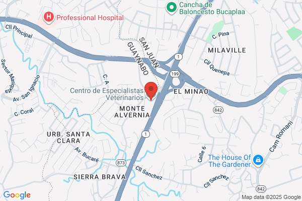 Centro Médico Veterinário De Montalvão
