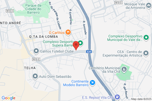 Ensaio Méco-Fisioterapia E Acupunctura