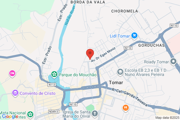 Bosch Car Service Tomar - Francisco AS Gaspar