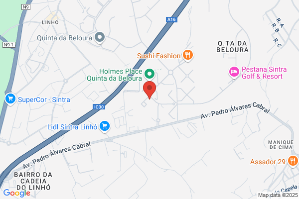 Luis Gameiro