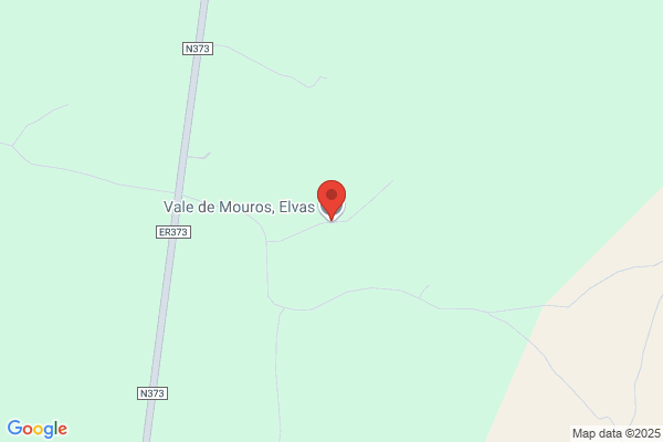 Salvador Moura Sousa