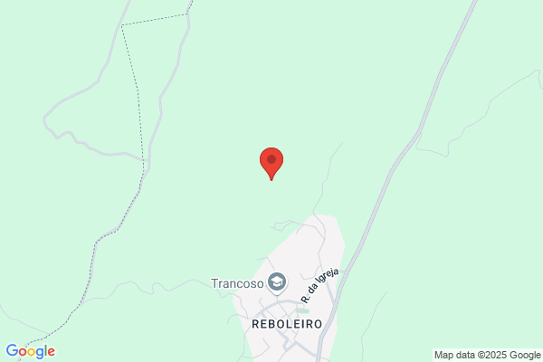 Maria Rosa Silva