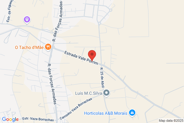 Sofia Cristina Fernandes
