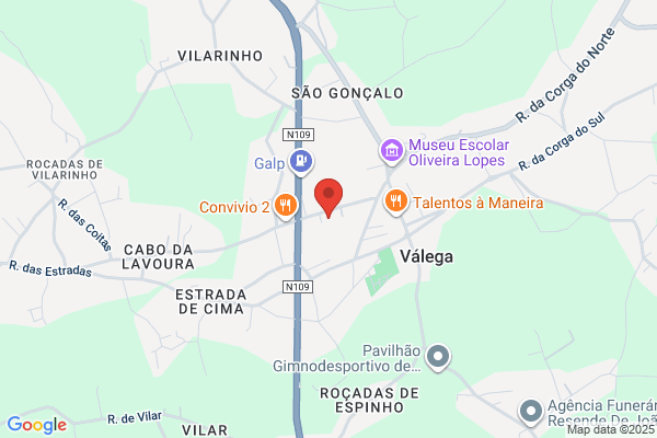 Emia Silva Pinho