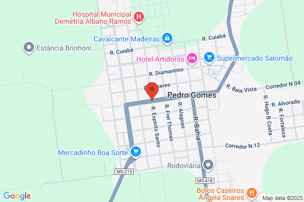 Pedro G B Gomes Teixeira