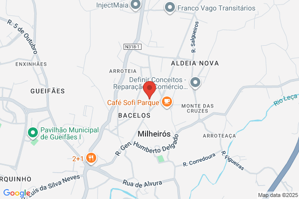 Pedro L Milheiro Leite