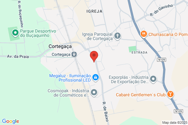 RM Eventos - Insufláveis