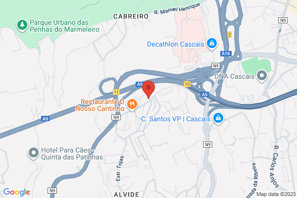 Vidraria Nelcar-Aurelio Dos Santos Ferreira. Lda