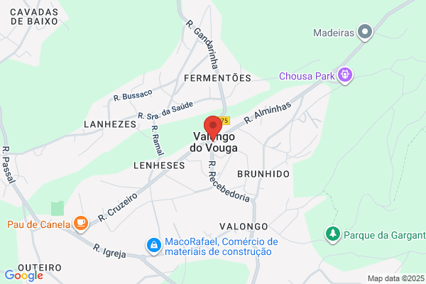 Adelino Folha Cerqueira