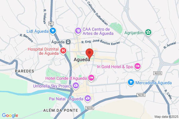 Altarte-Decoraiåes De Agueda. Lda