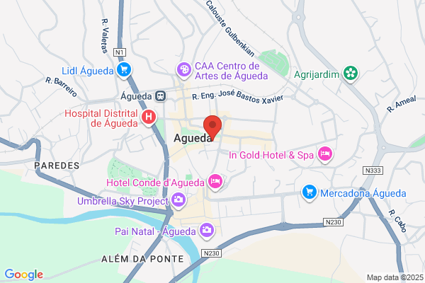 Cartario Notarial De Agueda