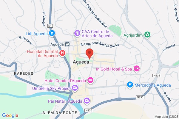 Rial-Representaiao De Informatica De Agueda. Lda