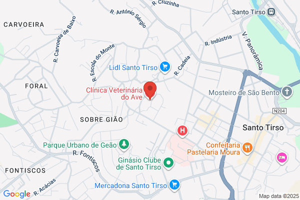 Clínica Veterinária Do Ave Lda