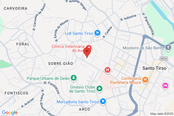 Radio Voz De Santo Tirso
