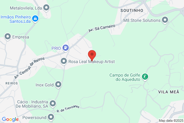 Carlos Gonialves Rocha Ribeiro