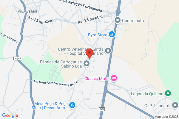 A G S-Mudanças Internacionais Lda