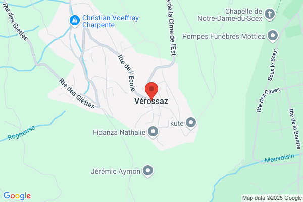 Clínica Veterinária da Formiga