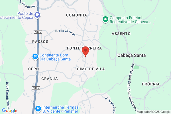 António C S Ferreira Vieira