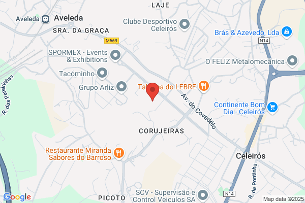 Elvira M D C Freitas Sousa